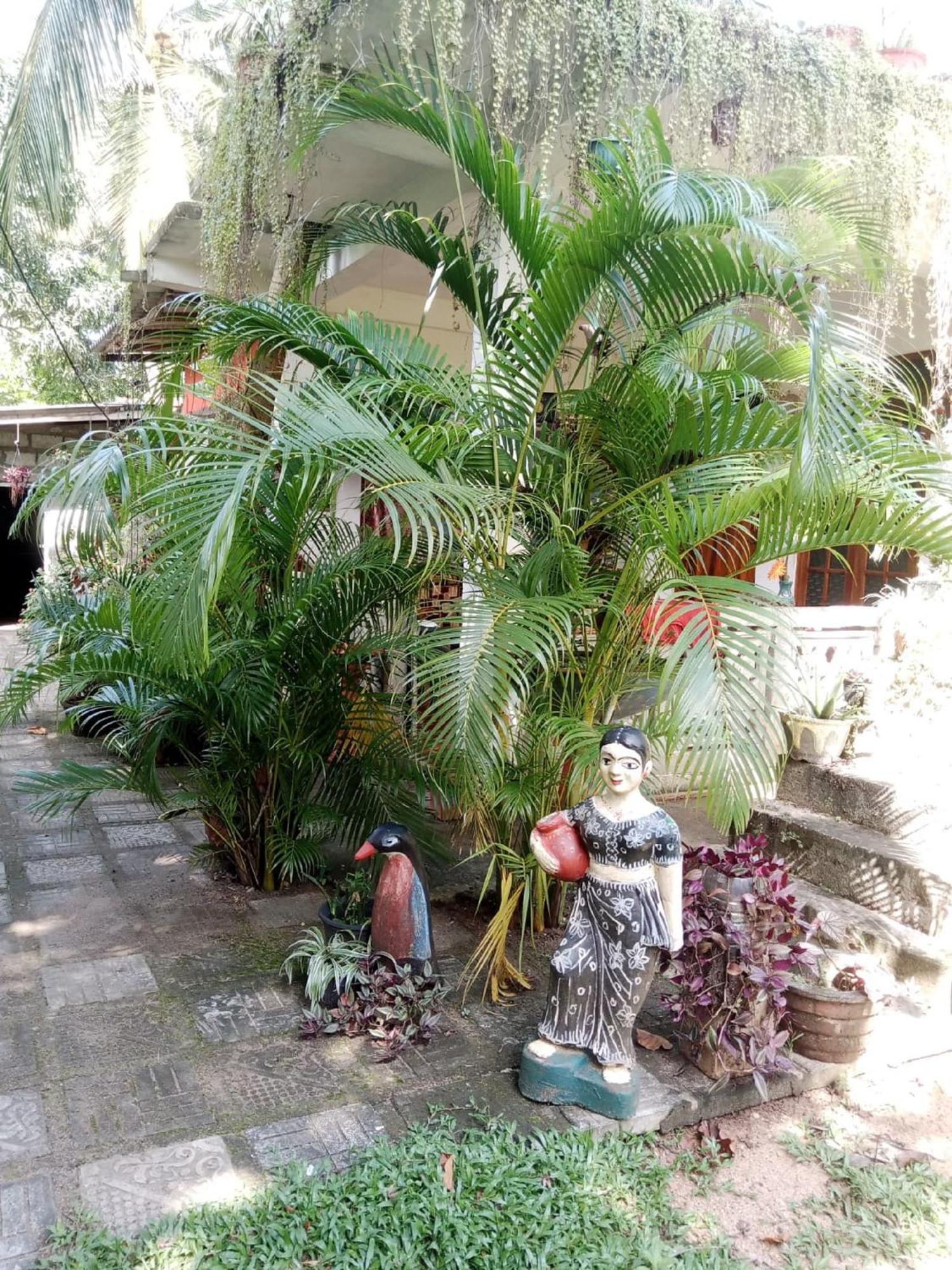 Nelum Home Stay Sigiriya Eksteriør billede